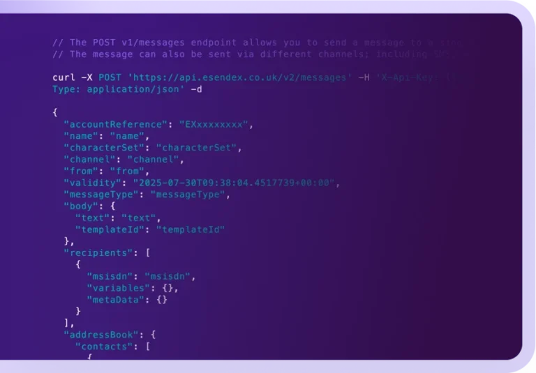 A POST /v1/messages request in code